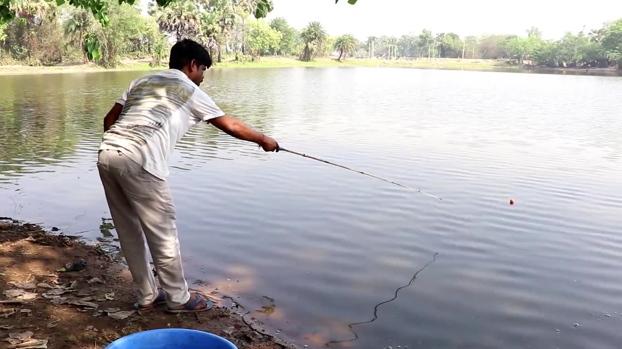 Fishing Video || The fun of hook fishing in the village pond is different || Fish catching trap