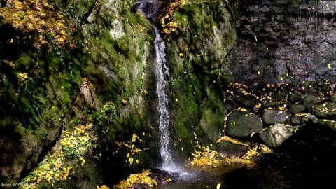 Relaxing Piano & Waterfalls ~ Stress Relilef ~ Study Music ~ Sleep Music