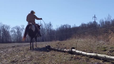 Avi and Jack - Dally and Drag - 11 Feb 2023