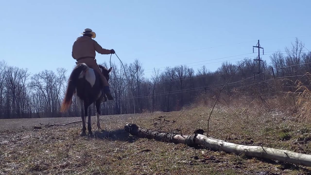 Avi and Jack - Dally and Drag - 11 Feb 2023