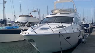 Sealine T50 Sports Cruiser