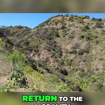 The Power of Language: How to Adapt and Succeed in the Modern World