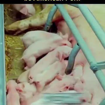 American foods banned in other countries: