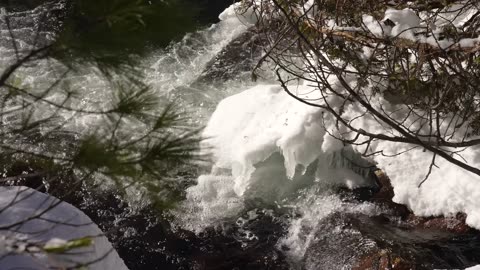 10 Days Winter Camping in the Canadian Wilderness