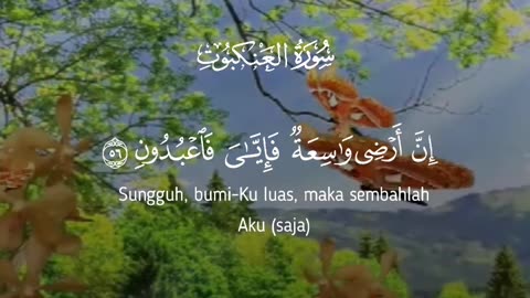 Islamic Video Al Quran Beautiful Voice