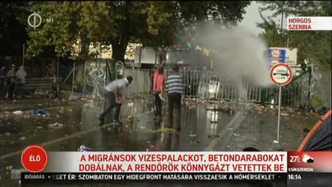 Zavargások a Röszke-Horgos határátkelőn (M1 - Ma délután 2015-09-16. 16:13)