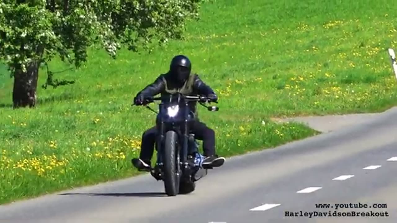 Harley Davidson Break out fork oil