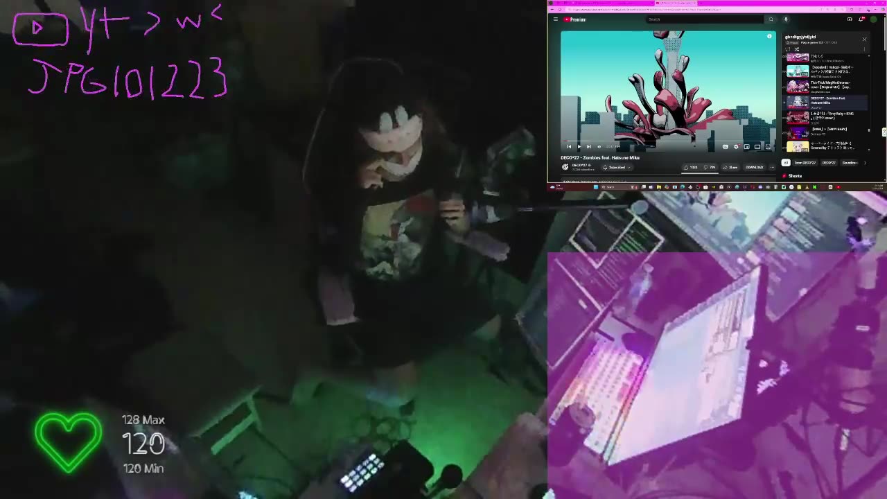 Stream vlog going Insane 11/29/2024