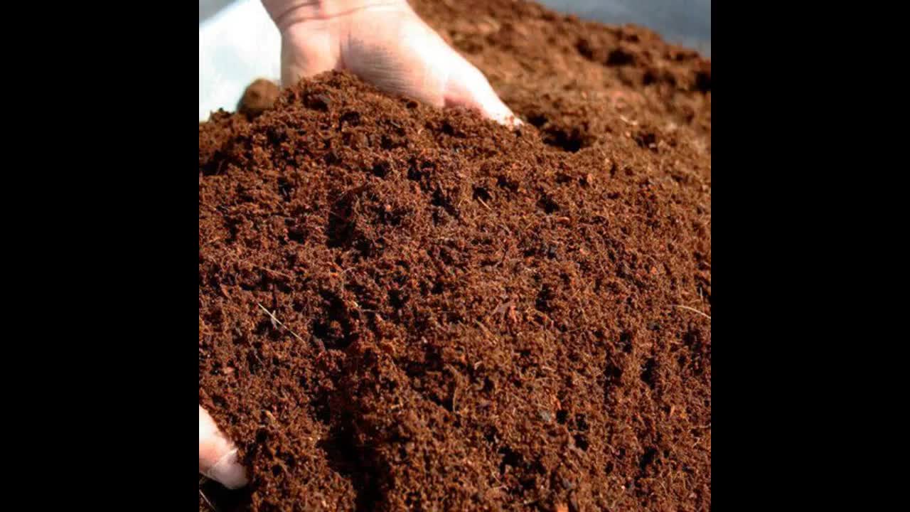 GROW!T JSCMIX15 - Loose Premium Coco Fiber Growing Media, (1.5 Cubic Feet), Brown - Superior Qu...