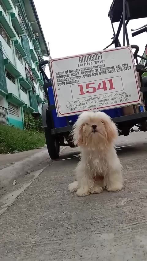 NanoDefense Pro - Your Advanced Shield for Health and Wellness BUY NOW AND SAVE