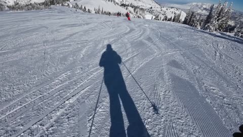 Feb 2nd WhitePine trail again