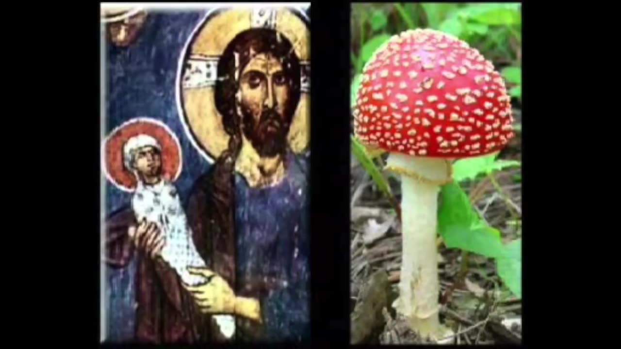 The Species with Amnesia Series - Episode #13 - The Fruit of Knowledge