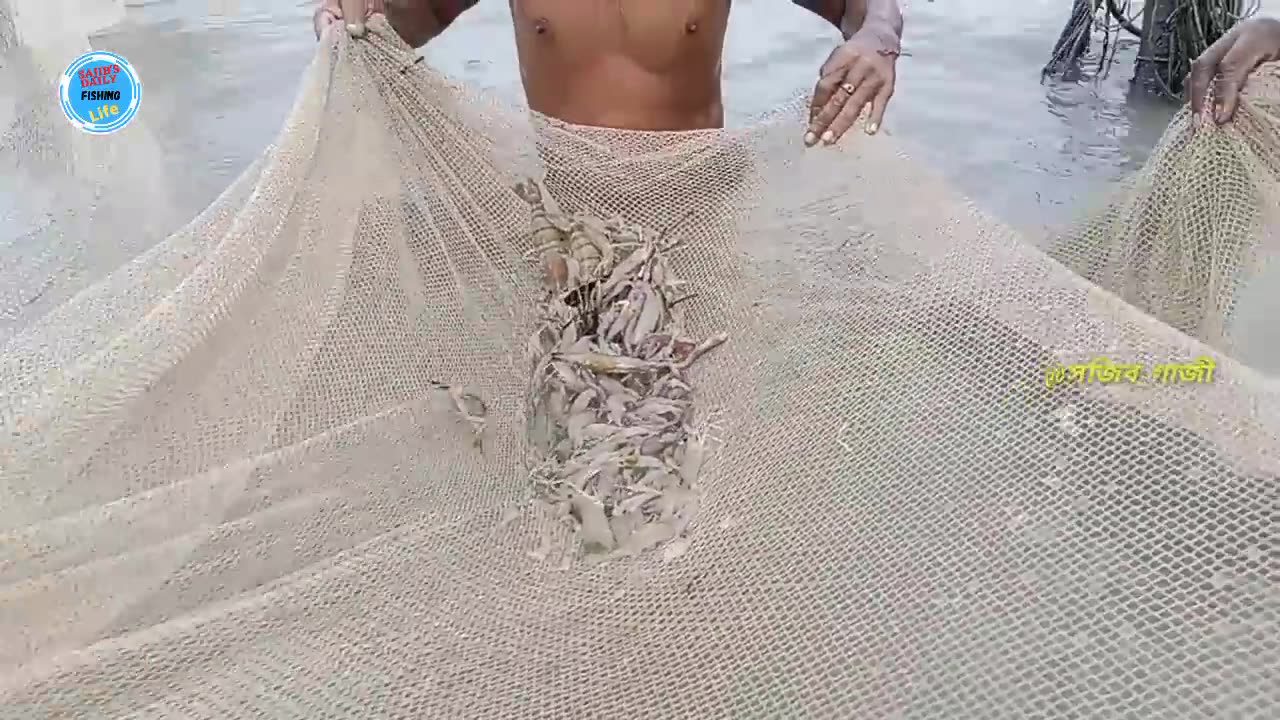 Unique Fishing Technique in River।। jungle Fishing।।