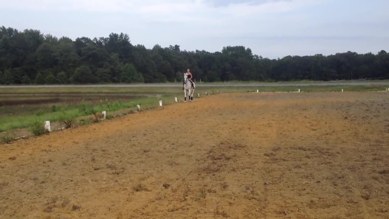 Charley Chan - 1 schooling 082013