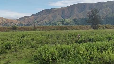 Zambales Philippines