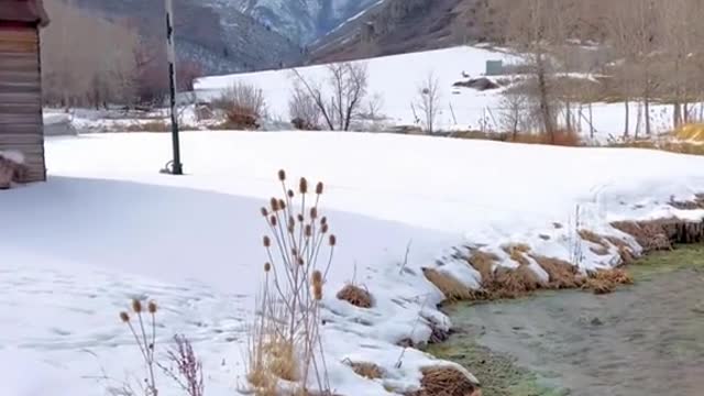 creek water scenery