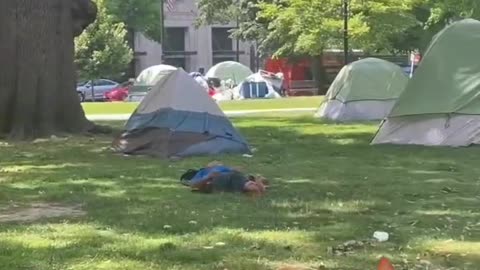 Welcome to Washington, DC
