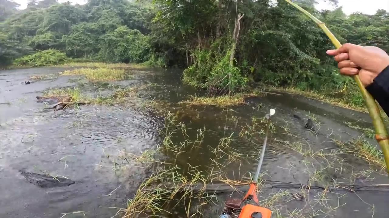 Fishing and cooking មកសាកលេងត្រីនីទំទប់ទីបី ខេត្តពោធិ៍សាត់