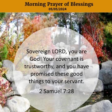 Morning Prayer of Blessings #youtubeshorts #grace #jesus #mercy #faith #fyp #blessed #trust #love
