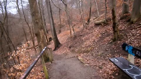 Pålsjö skog, Helsingborg 16 Mars 2014