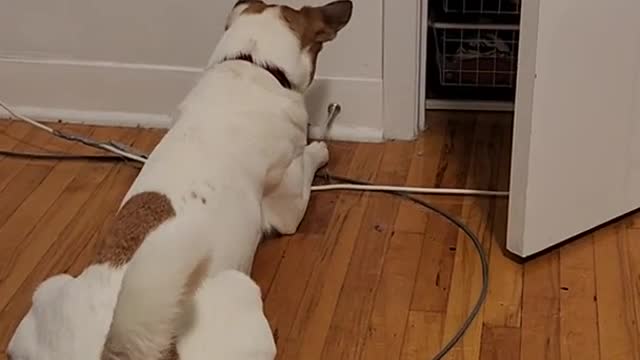 a discovery was made