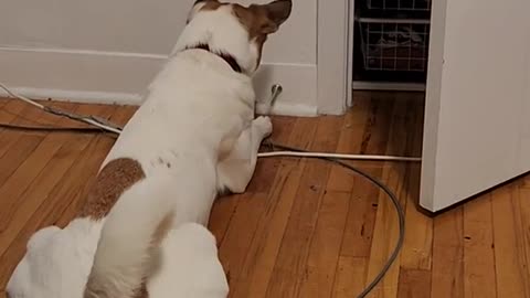 a discovery was made