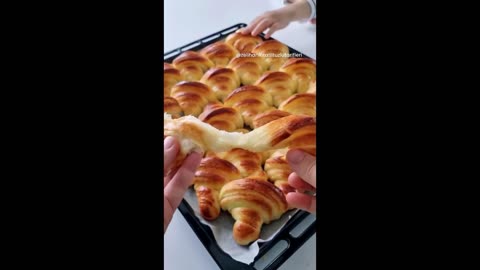 meal and cooking