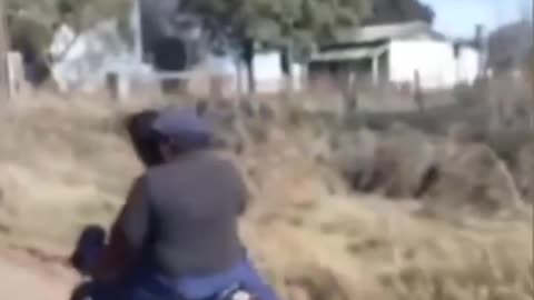 Scorpion Landing