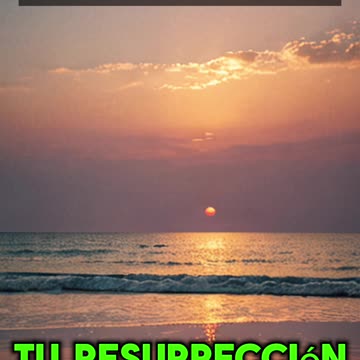 🙏✨Oración Inspirada en las Lecturas de Hoy ✨🙏