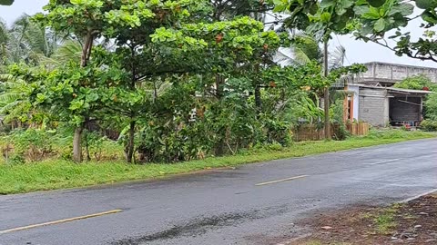 Menunggu reda hujan