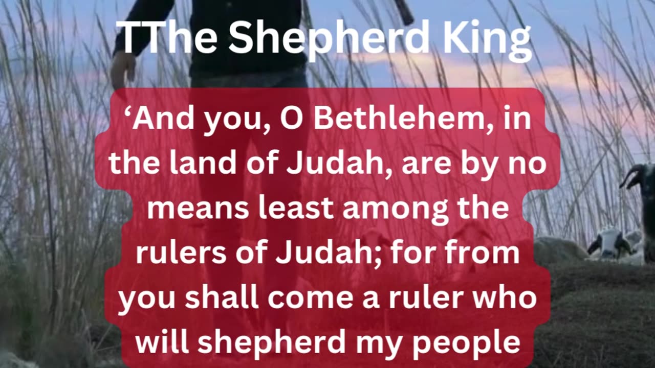 The Shepherd King - Matthew 2:6