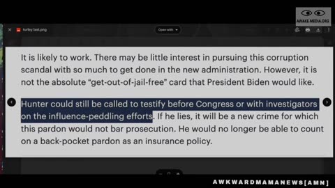 Ron Paul: Biden's Hunter Pardon Is All About Ukraine!