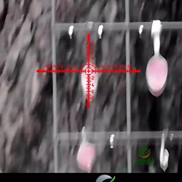 plinking with the oneleaf scope 4k