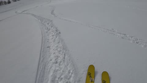 Feb 7th last run down MB