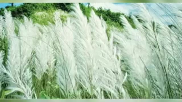 ভুল করে যদি কখোনো মনে পড়ে এই আমায়