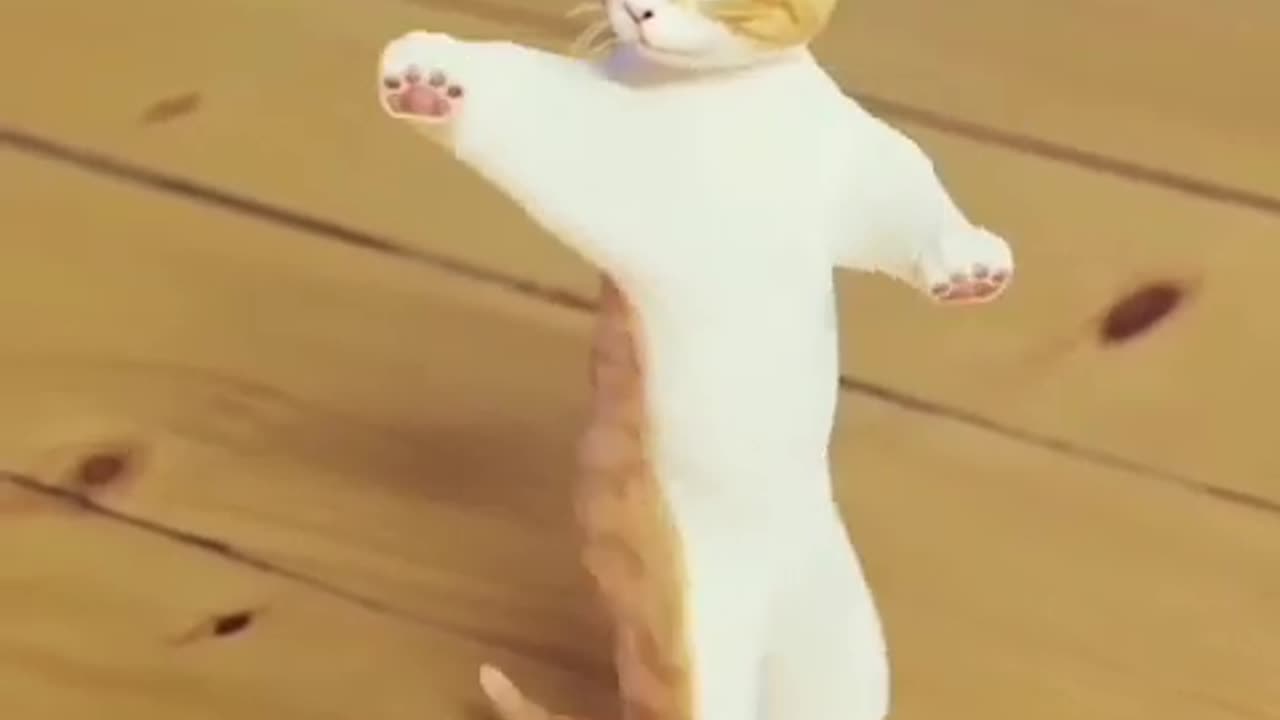 Funny Cat Dancing 😂 How cute funny cat 😺