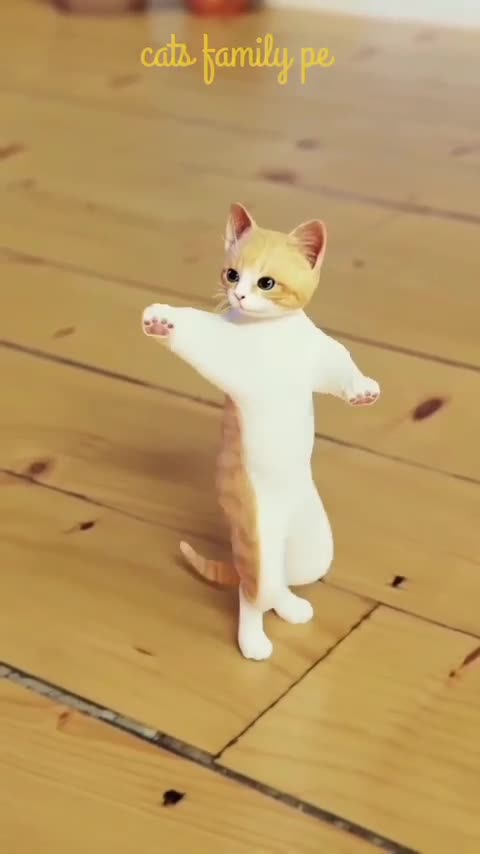 Funny Cat Dancing 😂 How cute funny cat 😺