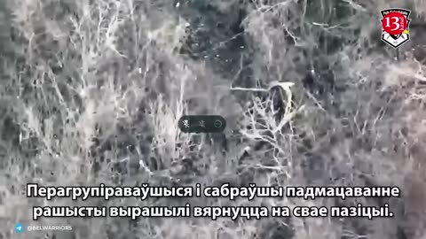 This is what Belarusian fighters with drones and artillery did to Russians in a wooded area