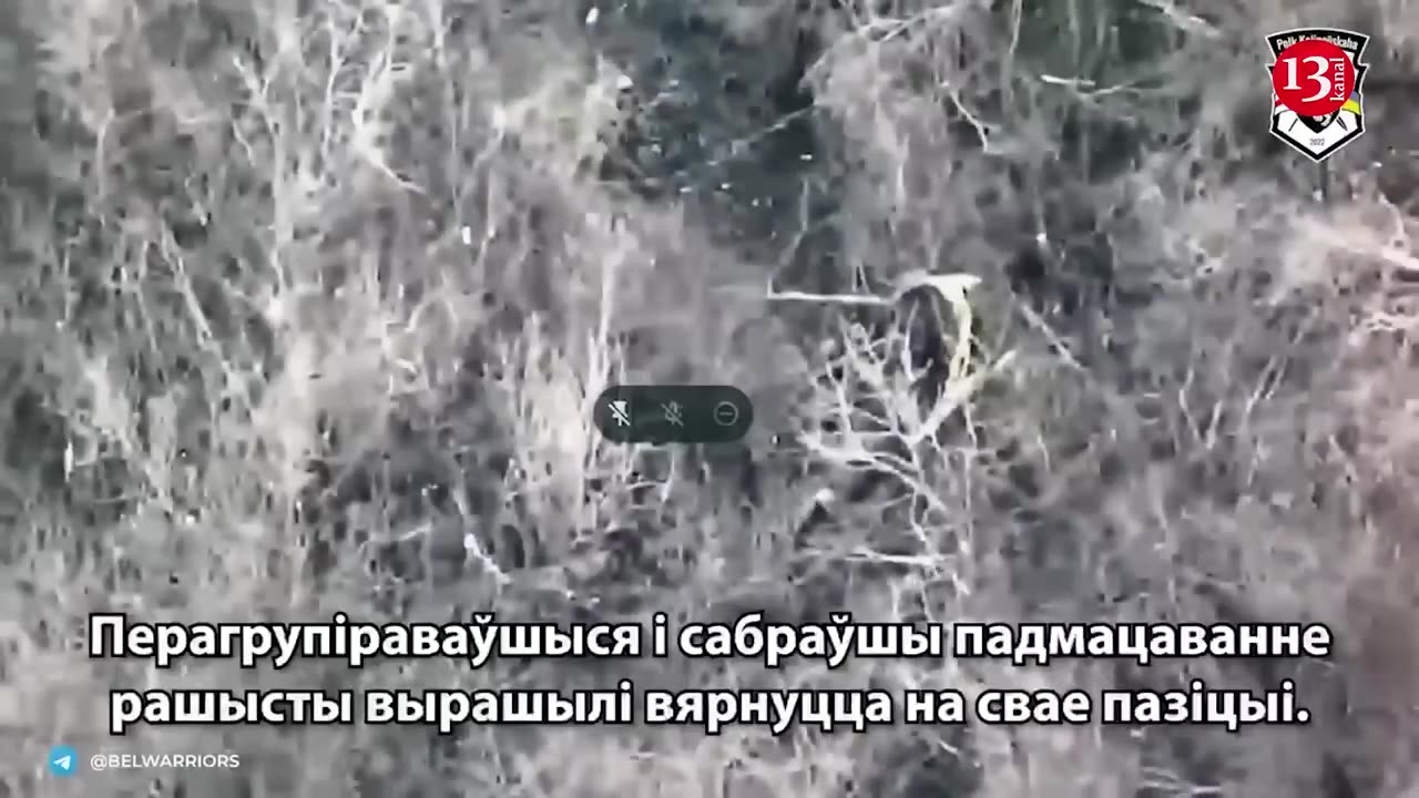 This is what Belarusian fighters with drones and artillery did to Russians in a wooded area