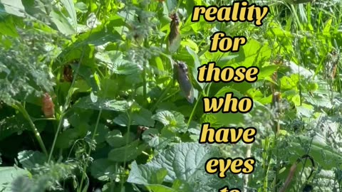 Carl Jung: Quote 💕