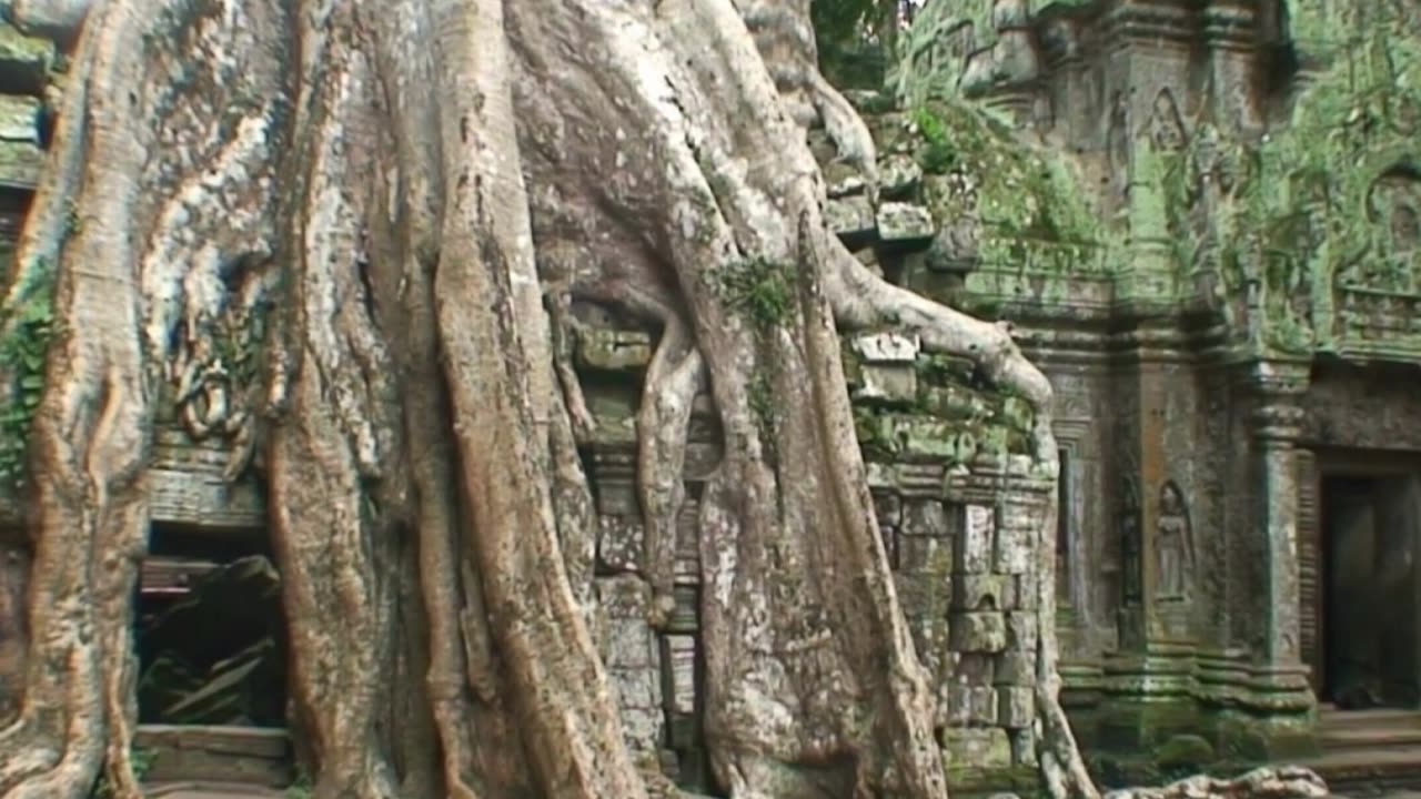 Ankor Wat #ankorwat