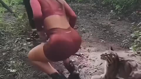 Funny animals videos part141