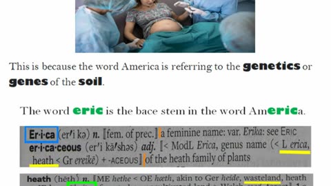 Did you know that the word America is a genetic term?