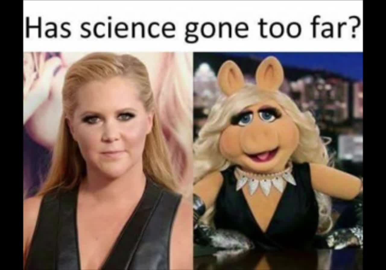 Random Memes 41