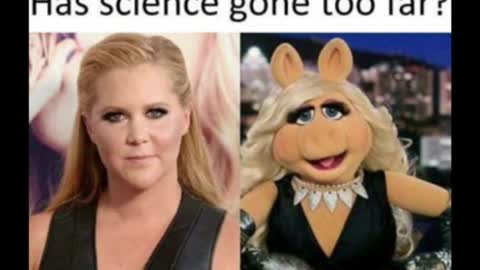 Random Memes 41