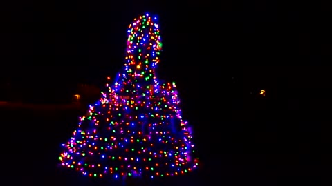 Crab Pot Christmas Tree 12/2/24: