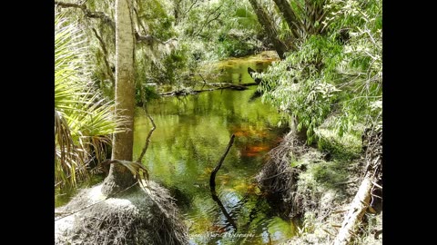 Aldermans Ford Park in Plant City Florida