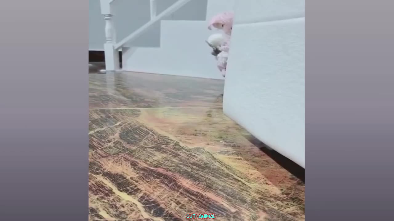 vidio