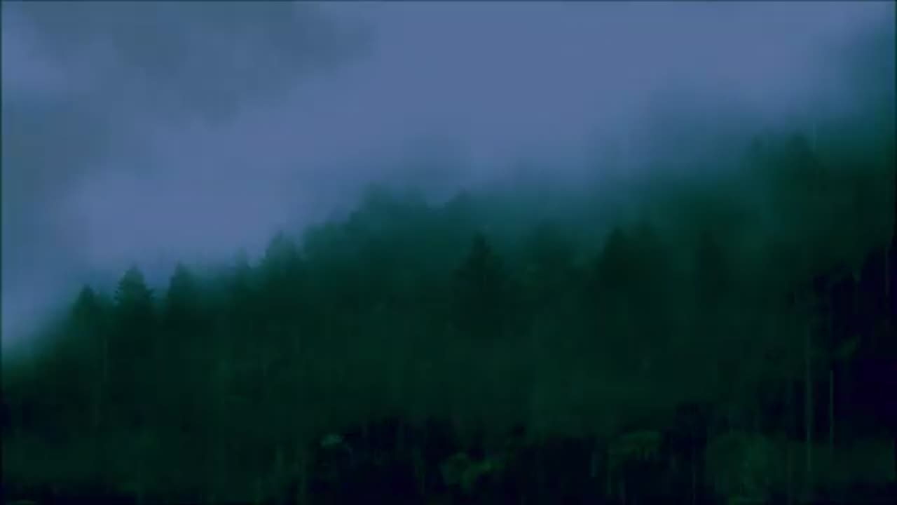 Dark Wood of Sadness - inspired by Twin Peaks