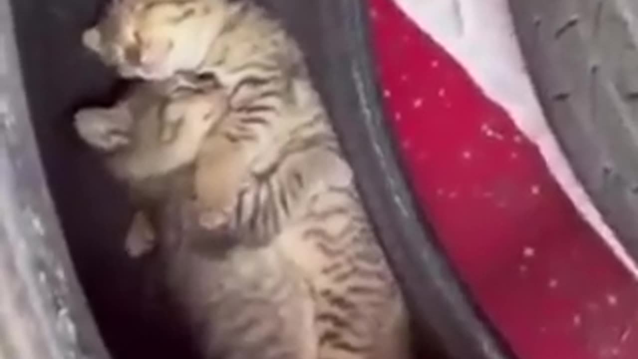Aaww🤗